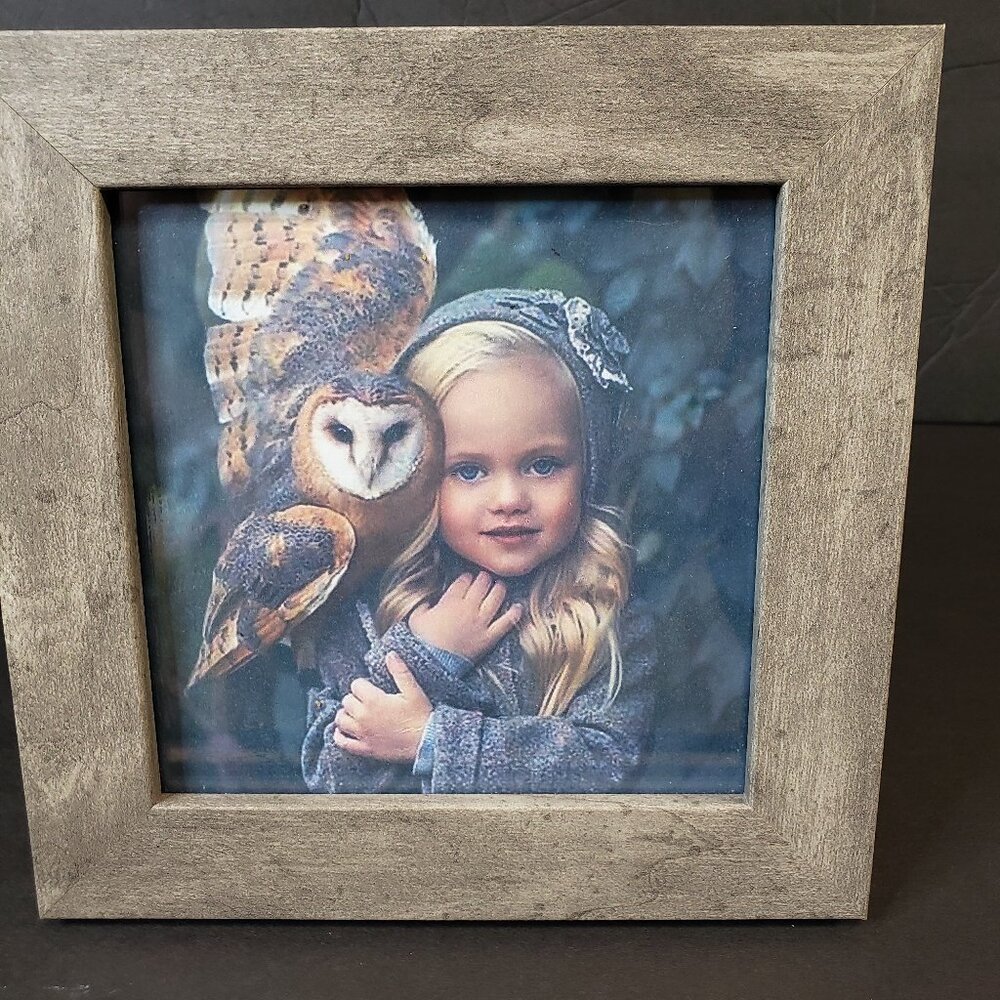 Cool Wooden Framed Girl with Barn Owl Print Woodland Tabletop Shelf Decor 6x6
